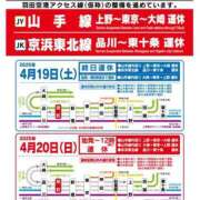 ヒメ日記 2025/04/19 06:17 投稿 めいこ ハピネス東京