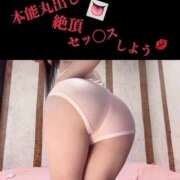 ヒメ日記 2025/04/28 04:47 投稿 めいこ ハピネス東京