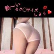 ヒメ日記 2025/04/28 16:58 投稿 めいこ ハピネス東京