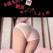 ヒメ日記 2025/05/06 11:37 投稿 めいこ ハピネス東京