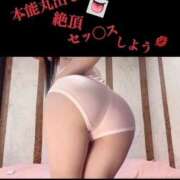 ヒメ日記 2025/08/09 10:07 投稿 めいこ ハピネス東京