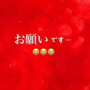 ヒメ日記 2025/09/26 14:57 投稿 めいこ ハピネス東京