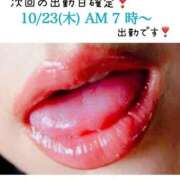 ヒメ日記 2025/10/17 16:27 投稿 めいこ ハピネス東京