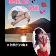 ヒメ日記 2026/01/29 08:27 投稿 めいこ ハピネス東京