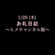 ヒメ日記 2026/01/29 16:04 投稿 めいこ ハピネス東京