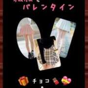 ヒメ日記 2026/02/04 06:17 投稿 めいこ ハピネス東京