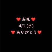 ヒメ日記 2026/04/02 05:17 投稿 めいこ ハピネス東京
