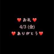 ヒメ日記 2026/04/03 15:17 投稿 めいこ ハピネス東京