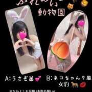 ヒメ日記 2026/05/02 06:27 投稿 めいこ ハピネス東京