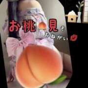 ヒメ日記 2026/08/23 15:57 投稿 めいこ ハピネス東京