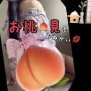 ヒメ日記 2026/09/05 06:13 投稿 めいこ ハピネス東京
