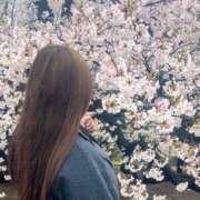 ヒメ日記 2025/04/04 20:12 投稿 ひなみ One More奥様　蒲田店