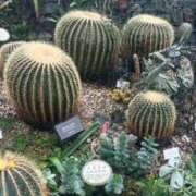 ヒメ日記 2025/04/10 10:25 投稿 ひなみ One More奥様　蒲田店