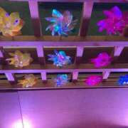 ヒメ日記 2025/07/17 19:24 投稿 あいな 東京エステコレクション 新橋・銀座