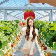 ヒメ日記 2026/04/01 06:00 投稿 れな コートダジュール