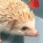 ヒメ日記 2025/03/02 12:20 投稿 みづき わちゃわちゃ密着リアルフルーちゅ西船橋