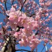 ヒメ日記 2025/04/05 11:20 投稿 みづき わちゃわちゃ密着リアルフルーちゅ西船橋