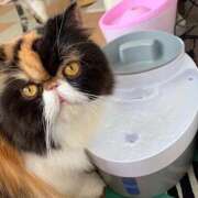 ヒメ日記 2026/04/13 15:08 投稿 みづき わちゃわちゃ密着リアルフルーちゅ西船橋