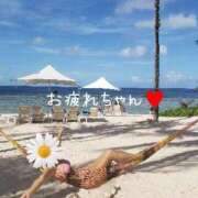 ヒメ日記 2025/05/12 12:20 投稿 なつな THE ESUTE 五反田店