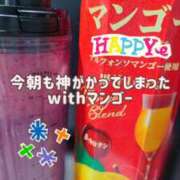 ヒメ日記 2025/11/22 12:50 投稿 なつな THE ESUTE 五反田店