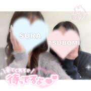 そら 💚2月🩷 かりんと秋葉原