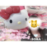 そら 🩷4月💖 かりんと秋葉原