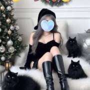 ヒメ日記 2024/12/20 12:16 投稿 つくよ 熟女家 京橋店