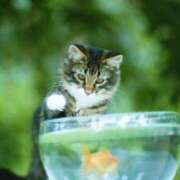 ヒメ日記 2025/06/16 13:56 投稿 つくよ 熟女家 京橋店