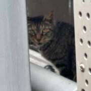 ヒメ日記 2025/08/07 14:56 投稿 つくよ 熟女家 京橋店