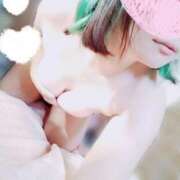 ヒメ日記 2024/12/14 13:08 投稿 はな 群馬渋川水沢ちゃんこ