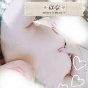 ヒメ日記 2024/12/26 12:22 投稿 はな 群馬渋川水沢ちゃんこ