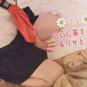 ヒメ日記 2025/04/10 10:18 投稿 はな 群馬渋川水沢ちゃんこ