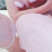 ヒメ日記 2025/04/17 13:18 投稿 はな 群馬渋川水沢ちゃんこ