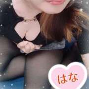 ヒメ日記 2025/06/16 10:18 投稿 はな 群馬渋川水沢ちゃんこ