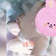 ヒメ日記 2025/07/24 17:48 投稿 はな 群馬渋川水沢ちゃんこ