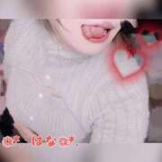 ヒメ日記 2025/11/13 11:18 投稿 はな 群馬渋川水沢ちゃんこ