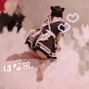 ヒメ日記 2026/02/17 13:18 投稿 はな 群馬渋川水沢ちゃんこ