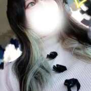 ヒメ日記 2026/02/18 12:13 投稿 はな 群馬渋川水沢ちゃんこ