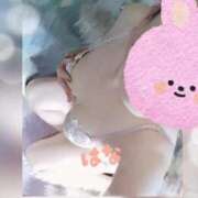 ヒメ日記 2026/02/24 13:18 投稿 はな 群馬渋川水沢ちゃんこ