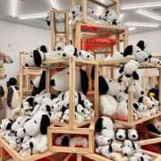 ヒメ日記 2025/02/09 20:23 投稿 かりな スーパークリスタル