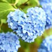 ヒメ日記 2025/06/30 10:52 投稿 Kyoka ワンカラット～人妻の輝き～