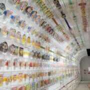 ヒメ日記 2025/05/13 12:04 投稿 のどか～マダム～ クラブレア南大阪