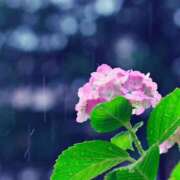 ヒメ日記 2025/06/08 18:42 投稿 のどか～マダム～ クラブレア南大阪