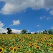 ヒメ日記 2025/08/04 19:48 投稿 のどか～マダム～ クラブレア南大阪