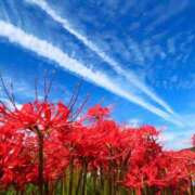 ヒメ日記 2025/09/20 17:51 投稿 のどか～マダム～ クラブレア南大阪