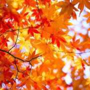 ヒメ日記 2025/12/14 19:51 投稿 のどか～マダム～ クラブレア南大阪