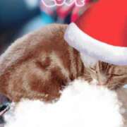 ヒメ日記 2024/12/25 07:36 投稿 あずさ 京都の痴女鉄道