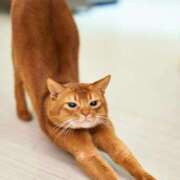 ヒメ日記 2025/01/14 22:56 投稿 あずさ 京都の痴女鉄道