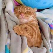 ヒメ日記 2025/01/26 22:56 投稿 あずさ 京都の痴女鉄道