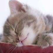 ヒメ日記 2025/02/06 22:56 投稿 あずさ 京都の痴女鉄道